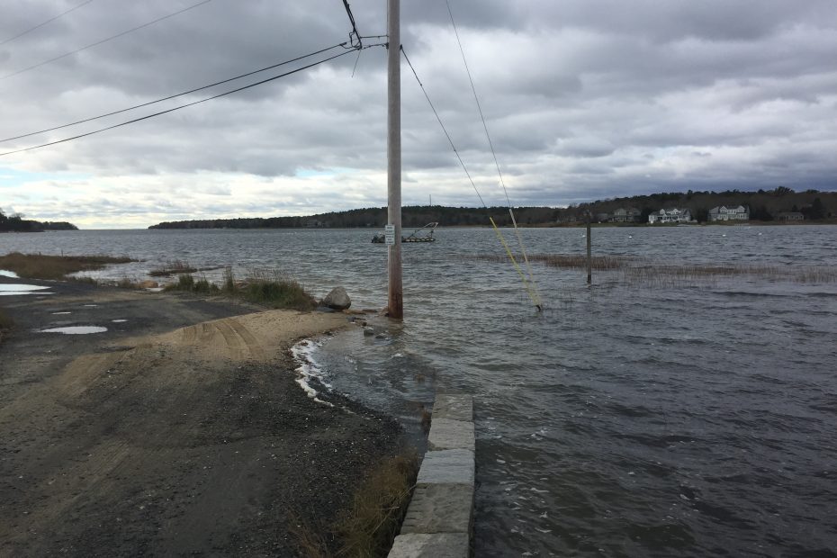 Flooding on Salt Marsh Lane in Bourne during a moon tide storm event in 2020.